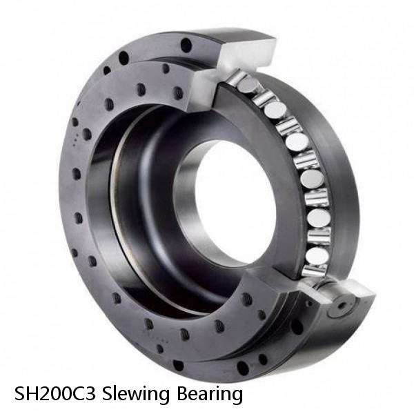 SH200C3 Slewing Bearing