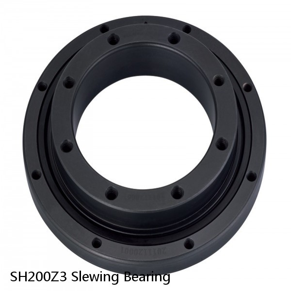 SH200Z3 Slewing Bearing