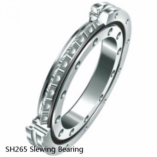 SH265 Slewing Bearing
