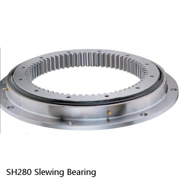 SH280 Slewing Bearing