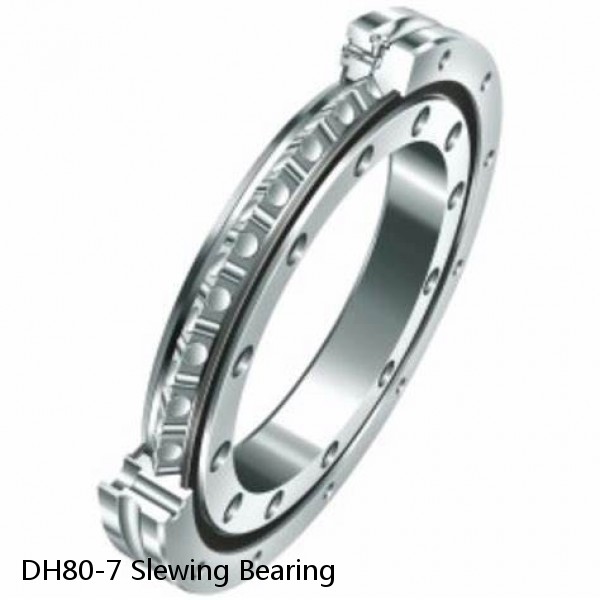 DH80-7 Slewing Bearing