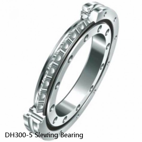 DH300-5 Slewing Bearing