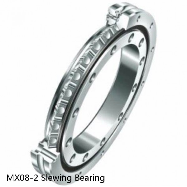 MX08-2 Slewing Bearing