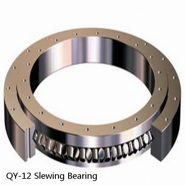 QY-12 Slewing Bearing