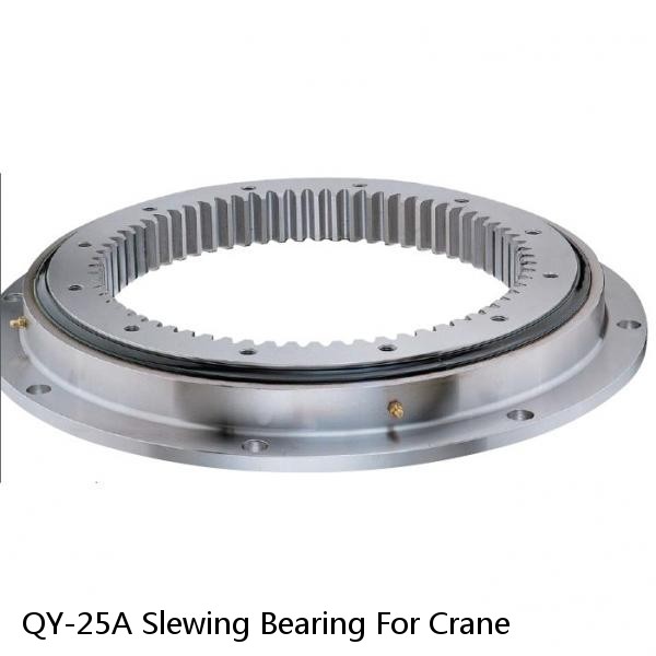 QY-25A Slewing Bearing For Crane