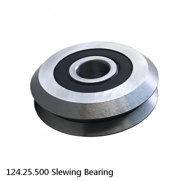 124.25.500 Slewing Bearing