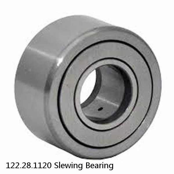 122.28.1120 Slewing Bearing