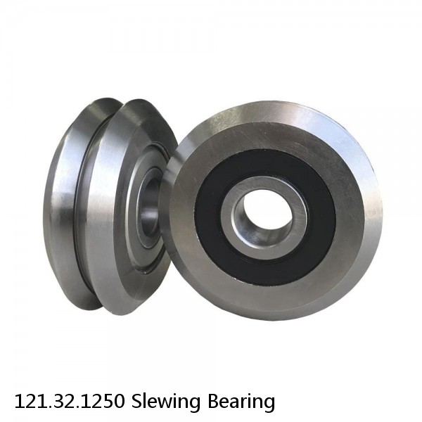 121.32.1250 Slewing Bearing