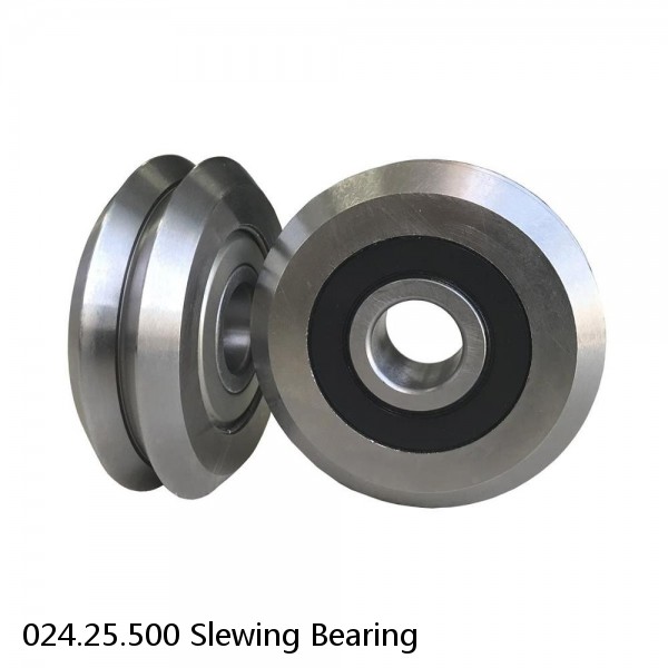 024.25.500 Slewing Bearing