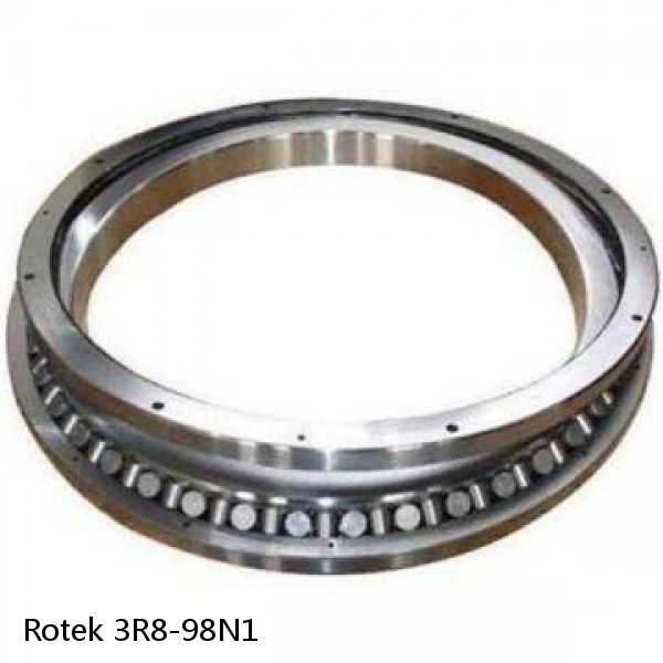 3R8-98N1 Rotek Slewing Ring Bearings