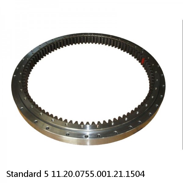 11.20.0755.001.21.1504 Standard 5 Slewing Ring Bearings