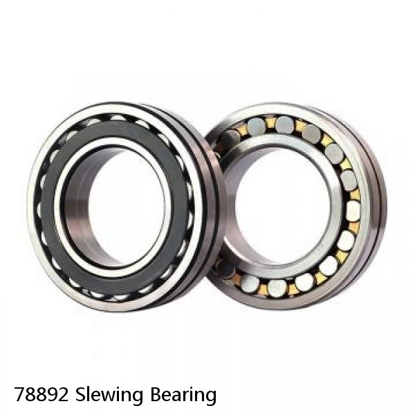 78892 Slewing Bearing