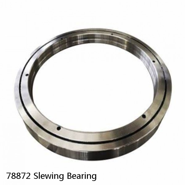 78872 Slewing Bearing