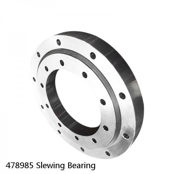 478985 Slewing Bearing