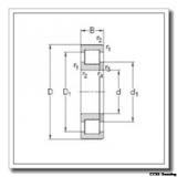 105 mm x 190 mm x 36 mm  CYSD 6221-RS CYSD Bearing