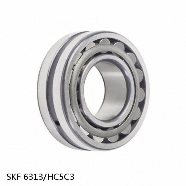 6313/HC5C3 SKF Hybrid Deep Groove Ball Bearings