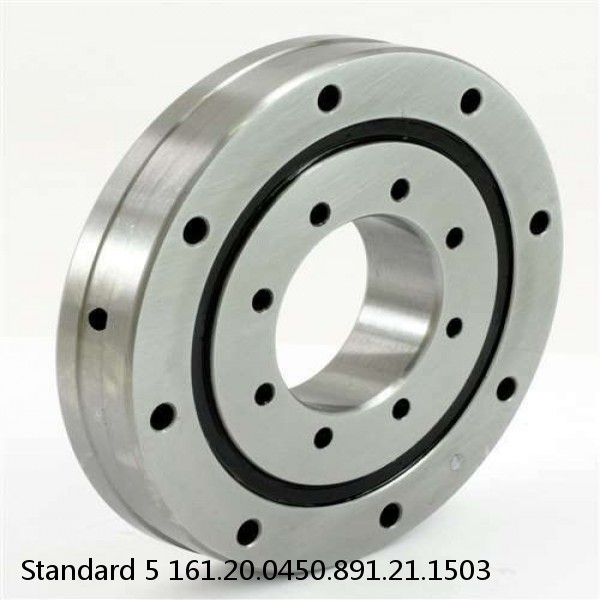 161.20.0450.891.21.1503 Standard 5 Slewing Ring Bearings