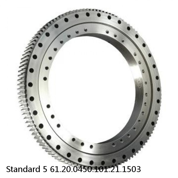 61.20.0450.101.21.1503 Standard 5 Slewing Ring Bearings