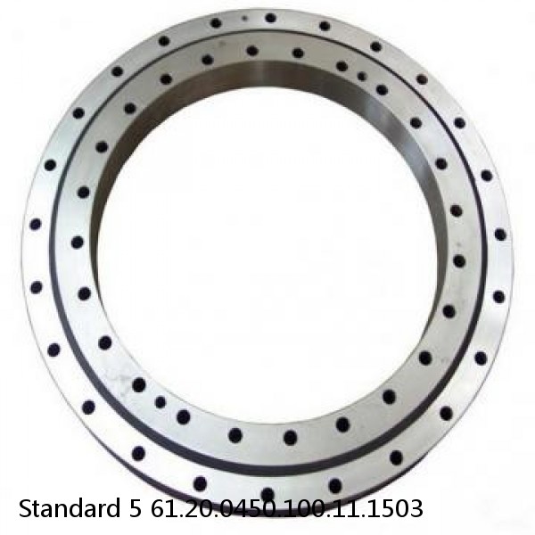 61.20.0450.100.11.1503 Standard 5 Slewing Ring Bearings